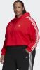 Adidas Adicolor Classics Hoodie(Grote Maat ) online kopen